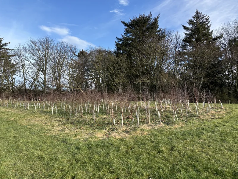 Action for Climate and Environment Newburgh-12